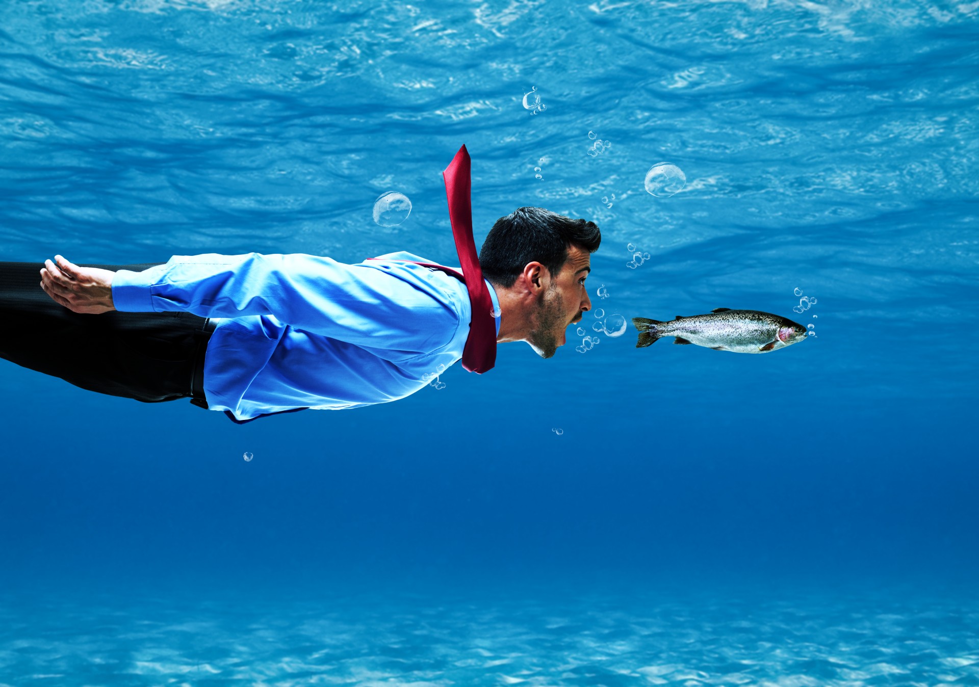 SEO for startups og mindre virksomheder